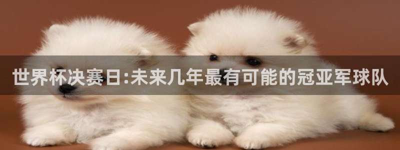免费看足球直播比赛：世界杯决赛日:未来几年最有可能的冠亚军球队