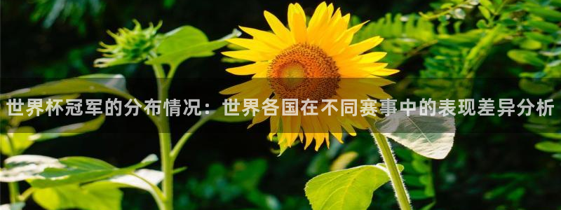 世预赛免费直播入口:世界杯冠军的分布情况:世界各国在不同赛事中的表现差异分析