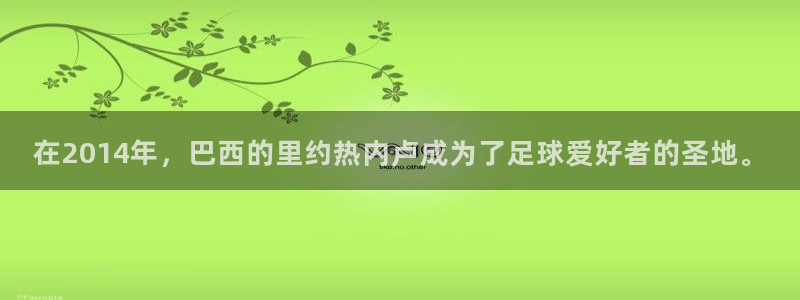 世界杯足球比赛:在2014年,巴西的里约热内卢成为了足球爱好者的圣地。