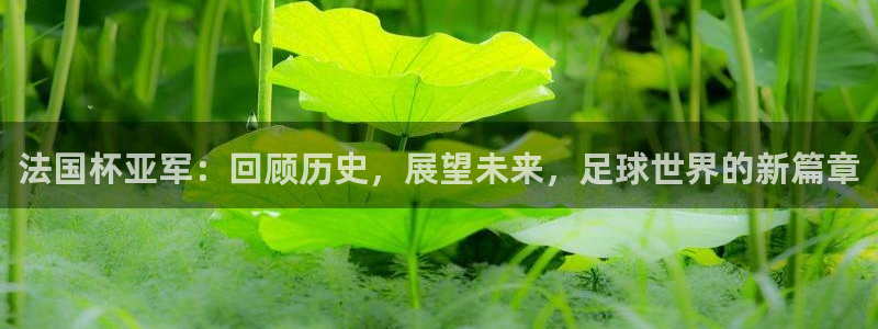 世界杯时间：法国杯亚军：回顾历史，展望未来，足球世界的新篇章