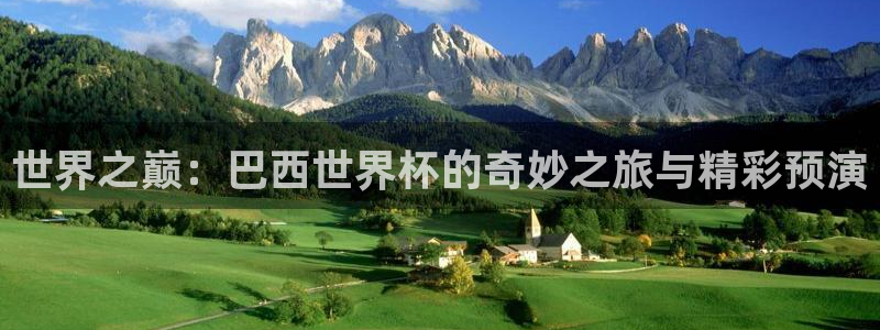 2006年世界杯冠军：世界之巅：巴西世界杯的奇妙之旅与精彩预演