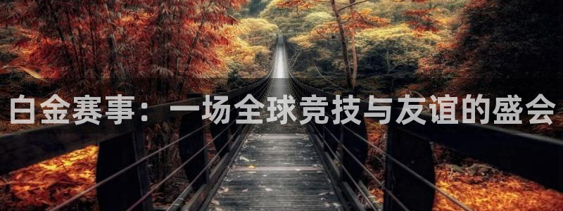 世界杯比赛：白金赛事：一场全球竞技与友谊的盛会