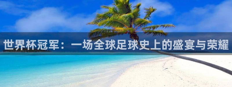 世界杯直播网站：世界杯冠军：一场全球足球史上的盛宴与荣耀