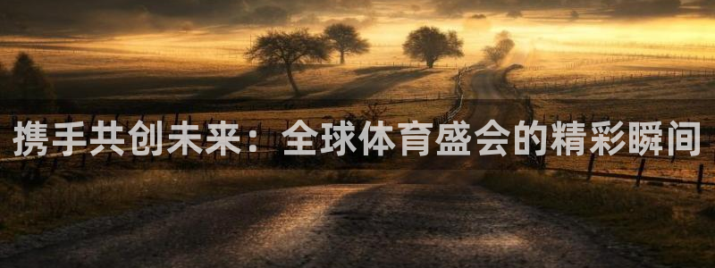 世界杯官网入口：携手共创未来：全球体育盛会的精彩瞬间