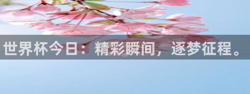 26世界杯：世界杯今日：精彩瞬间，逐梦征程。