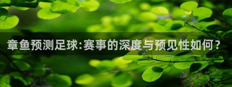欧联杯直播：章鱼预测足球:赛事的深度与预见性如何？