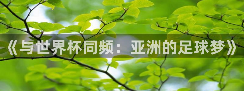 预选赛世界杯：《与世界杯同频：亚洲的足球梦》