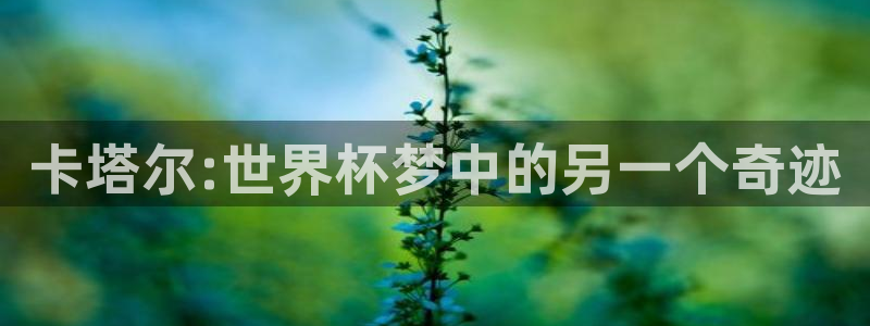 女足世界杯赛程：卡塔尔:世界杯梦中的另一个奇迹