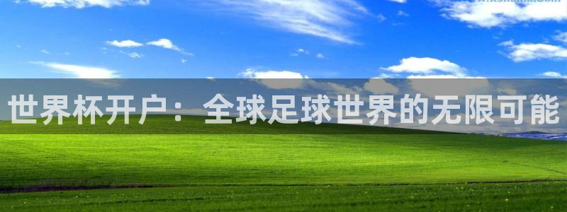 今年的世界杯：世界杯开户：全球足球世界的无限可能
